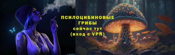 молекула духа Михайловка