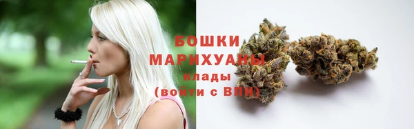мдпв Михайлов