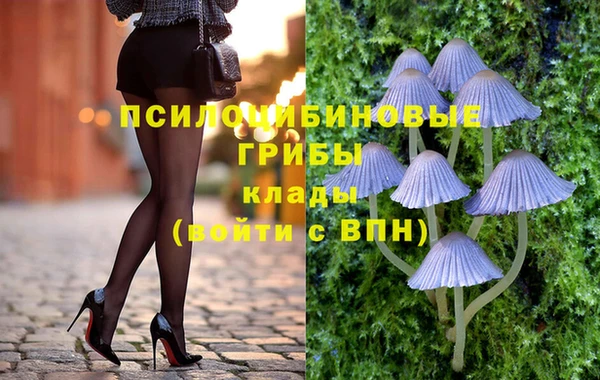 МДПВ Михайловск